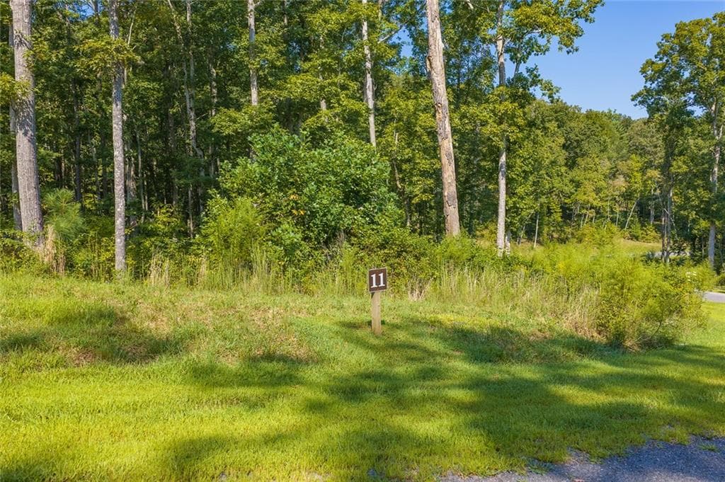 unimproved land for sale at Lot 11 Lake Top Lane, Ellijay, GA 30540 — photo 9