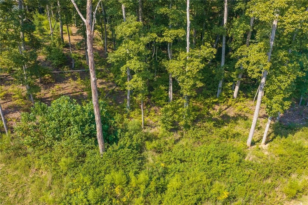 unimproved land for sale at Lot 11 Lake Top Lane, Ellijay, GA 30540 — photo 10