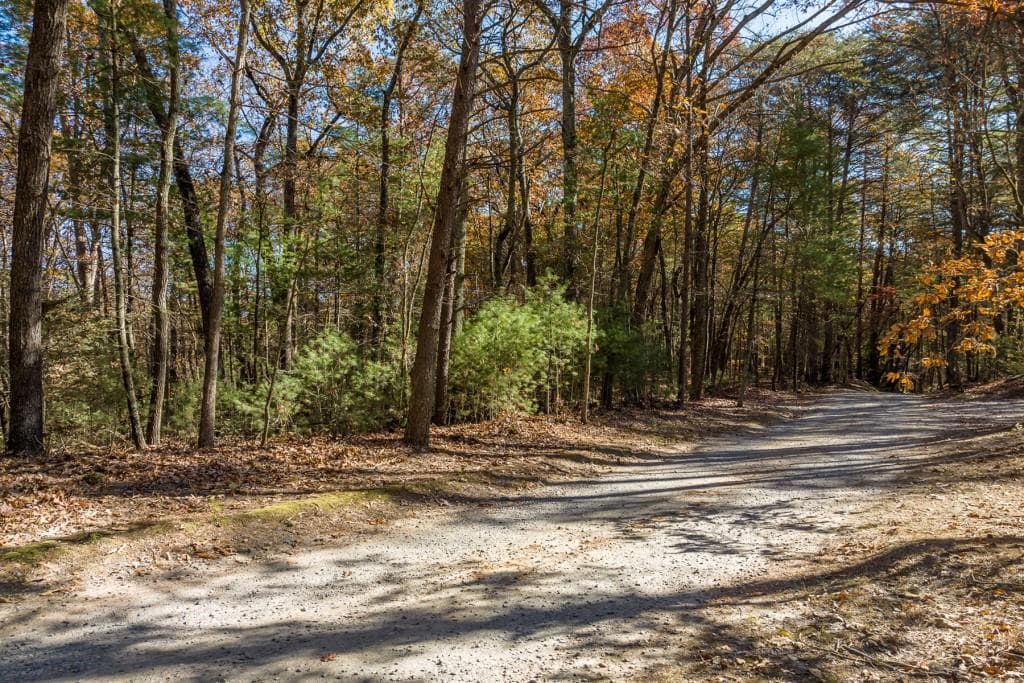 unimproved land for sale at TR 2 Old Anderson Creek, Ellijay, GA 30536 — photo 1 of 22