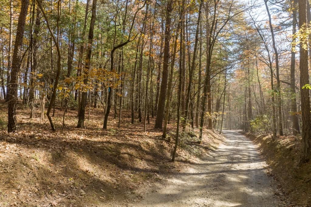 unimproved land for sale at TR 2 Old Anderson Creek, Ellijay, GA 30536 — photo 4