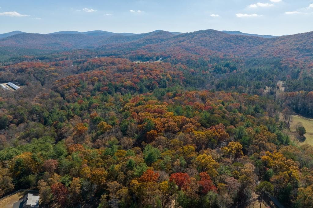 unimproved land for sale at TR 2 Old Anderson Creek, Ellijay, GA 30536 — photo 10