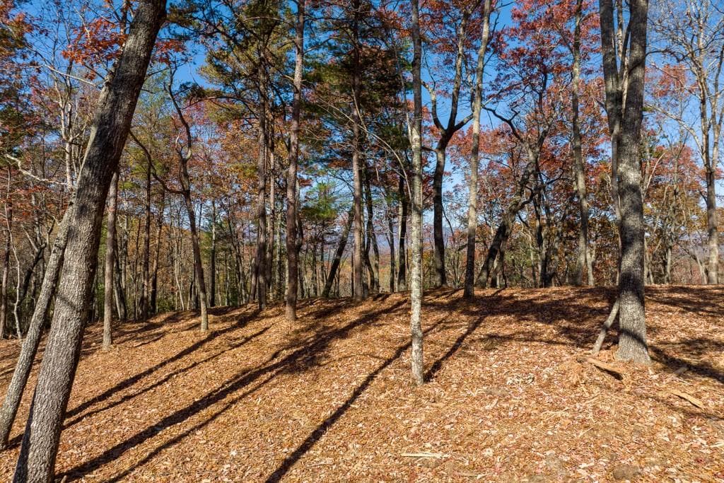 unimproved land for sale at LOT 41 Preserve Trail, Ellijay, GA 30536
