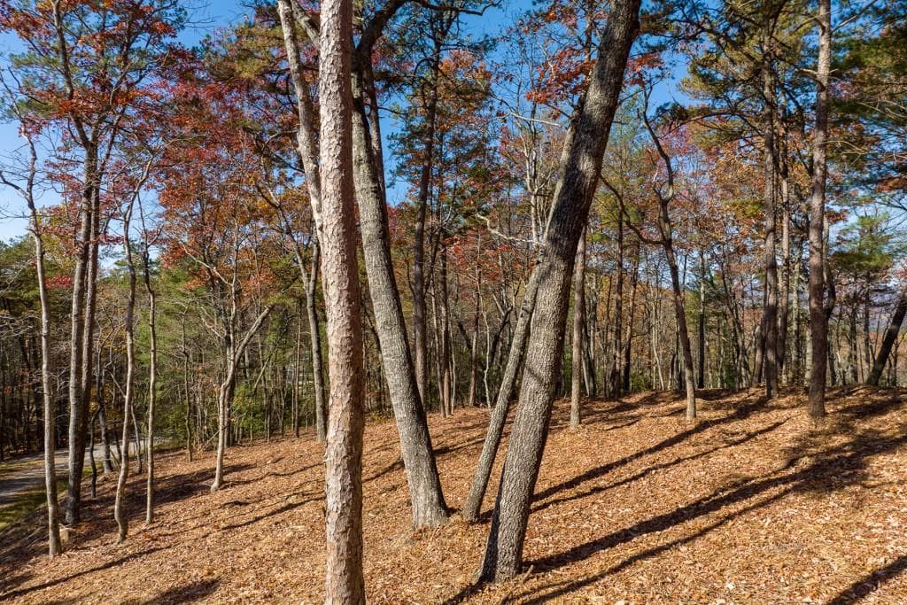 unimproved land for sale at LOT 41 Preserve Trail, Ellijay, GA 30536 — photo 2