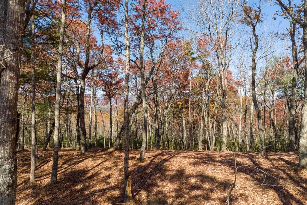 unimproved land for sale at LOT 41 Preserve Trail, Ellijay, GA 30536 — photo 3