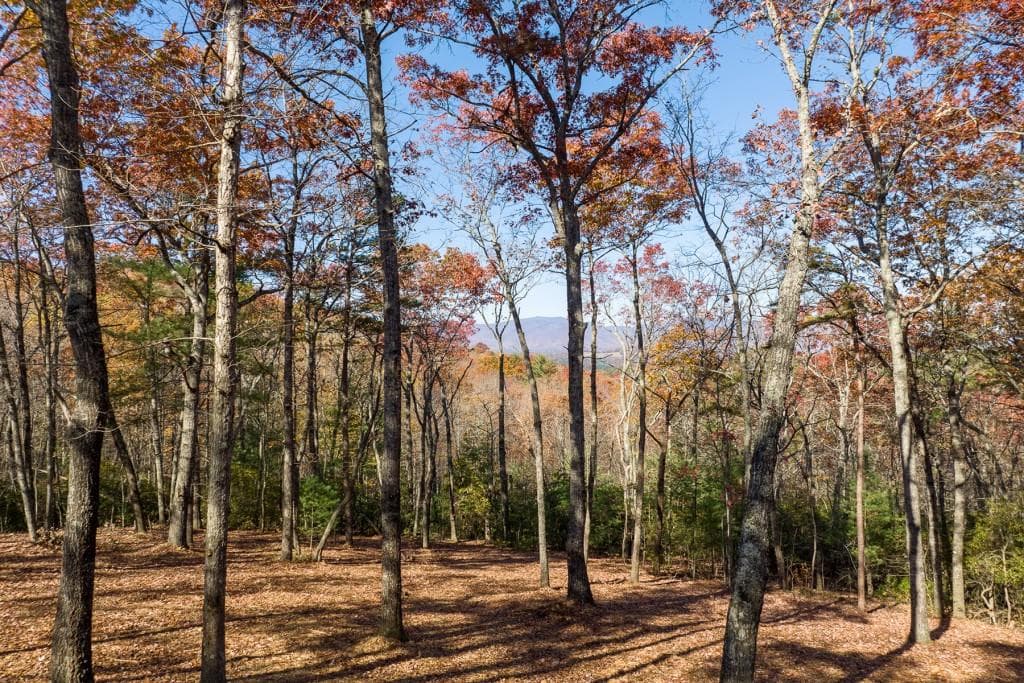 unimproved land for sale at LOT 41 Preserve Trail, Ellijay, GA 30536 — photo 5