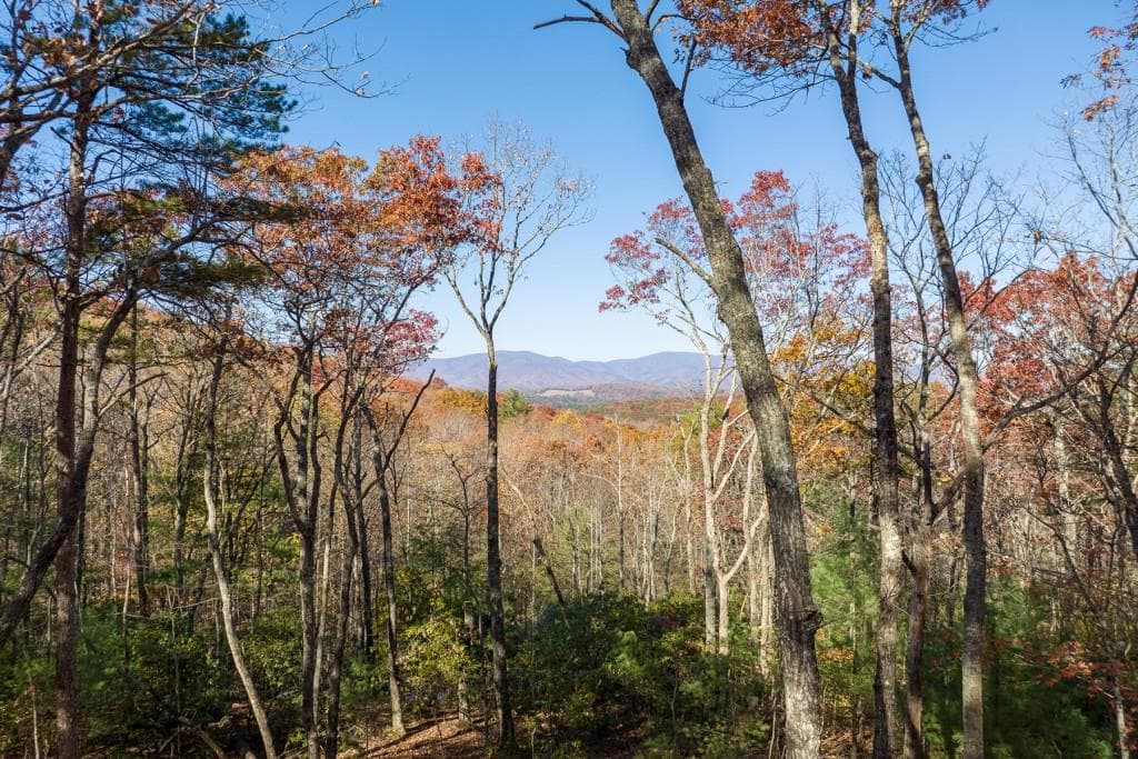 unimproved land for sale at LOT 41 Preserve Trail, Ellijay, GA 30536 — photo 6