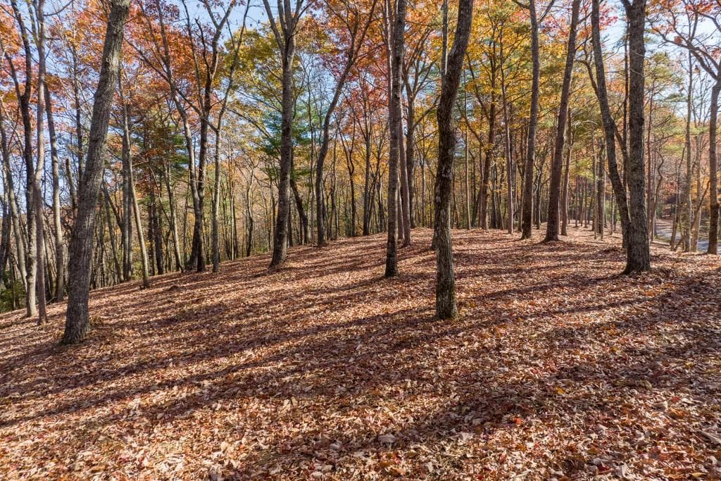 unimproved land for sale at LOT 41 Preserve Trail, Ellijay, GA 30536 — photo 7