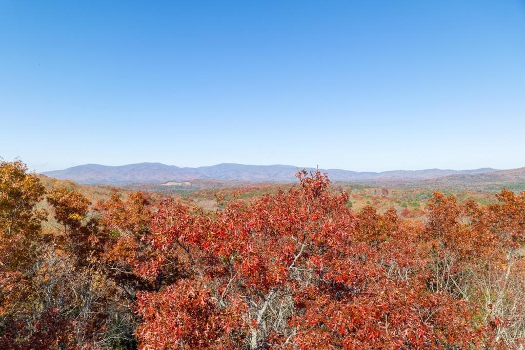 unimproved land for sale at LOT 41 Preserve Trail, Ellijay, GA 30536 — photo 8
