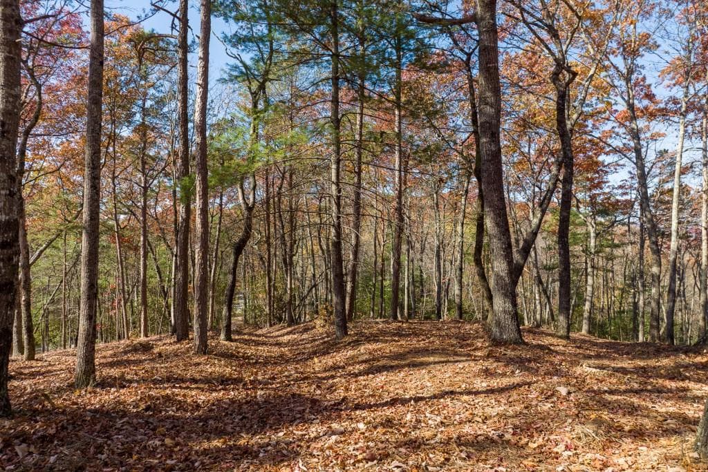 unimproved land for sale at LOT 41 Preserve Trail, Ellijay, GA 30536 — photo 9