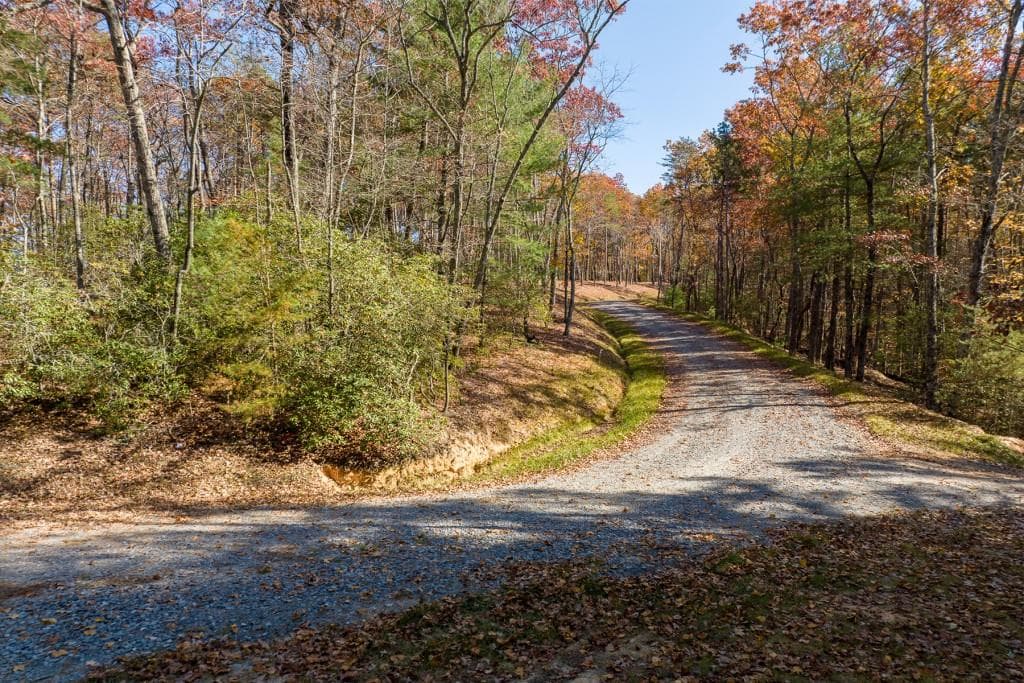 unimproved land for sale at LOT 41 Preserve Trail, Ellijay, GA 30536 — photo 10
