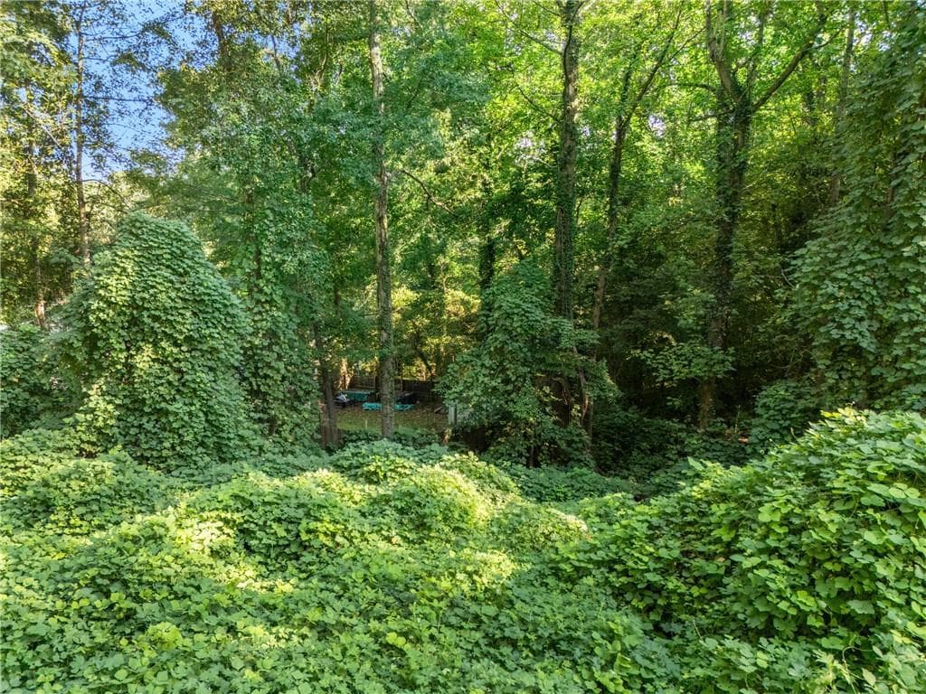 unimproved land for sale at 0 Newman Place, Atlanta, GA 30318 — photo 3