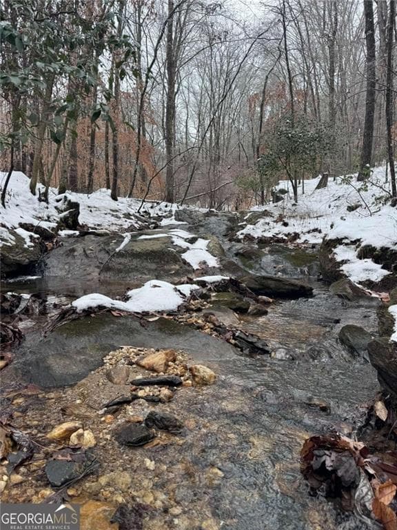 unimproved land for sale at #17 Lone Bear Path, Dallas, GA 30132 — photo 2