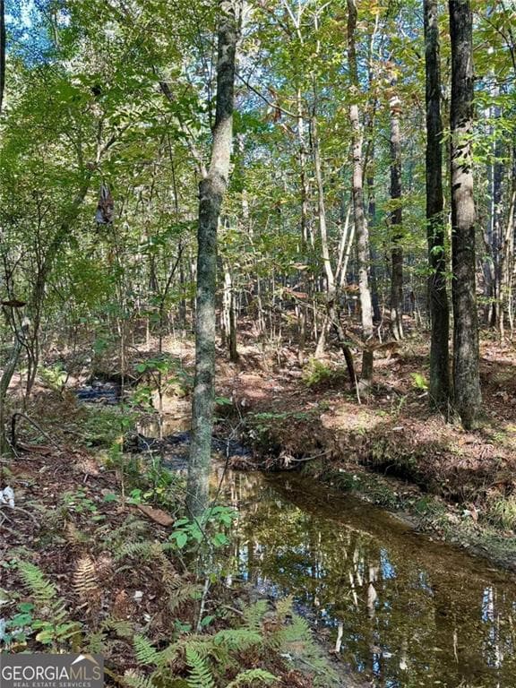 unimproved land for sale at #17 Lone Bear Path, Dallas, GA 30132 — photo 3