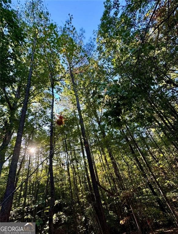 unimproved land for sale at #17 Lone Bear Path, Dallas, GA 30132 — photo 4