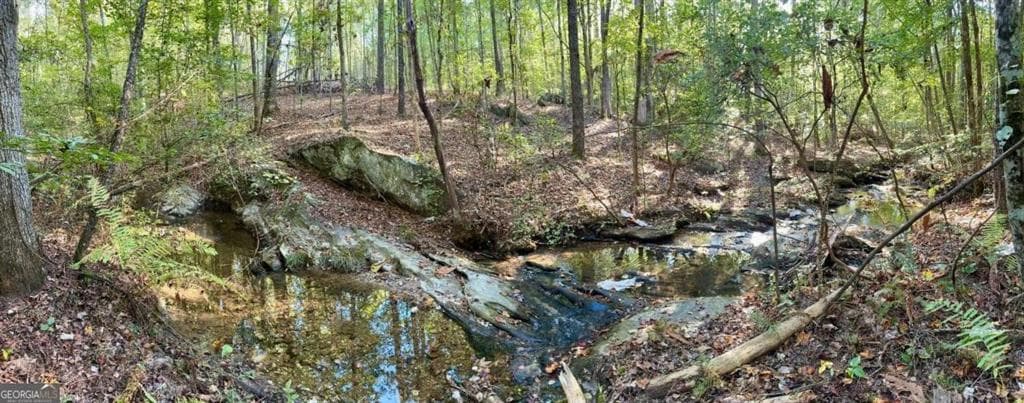 unimproved land for sale at #17 Lone Bear Path, Dallas, GA 30132 — photo 5