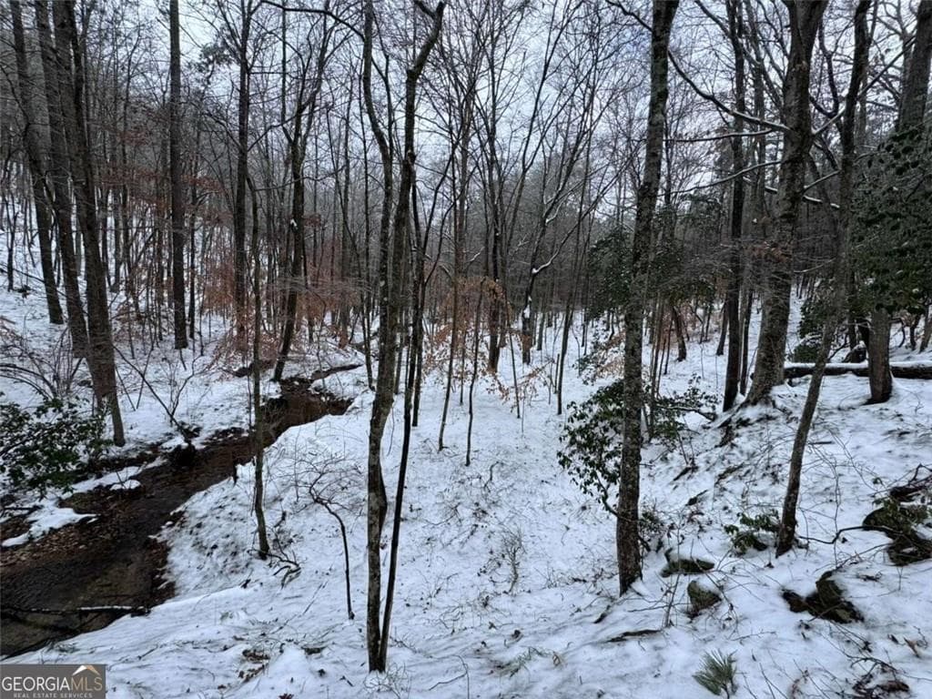 unimproved land for sale at #17 Lone Bear Path, Dallas, GA 30132 — photo 6