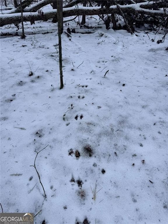 unimproved land for sale at #17 Lone Bear Path, Dallas, GA 30132 — photo 7