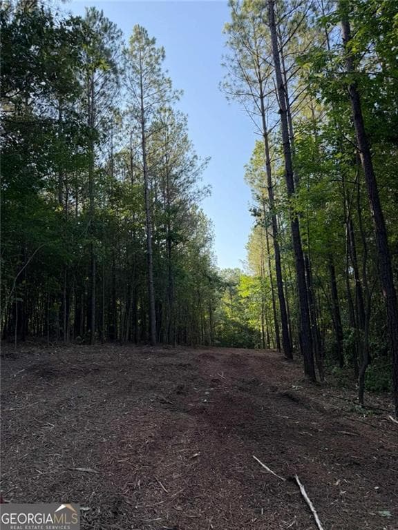 unimproved land for sale at #17 Lone Bear Path, Dallas, GA 30132 — photo 8