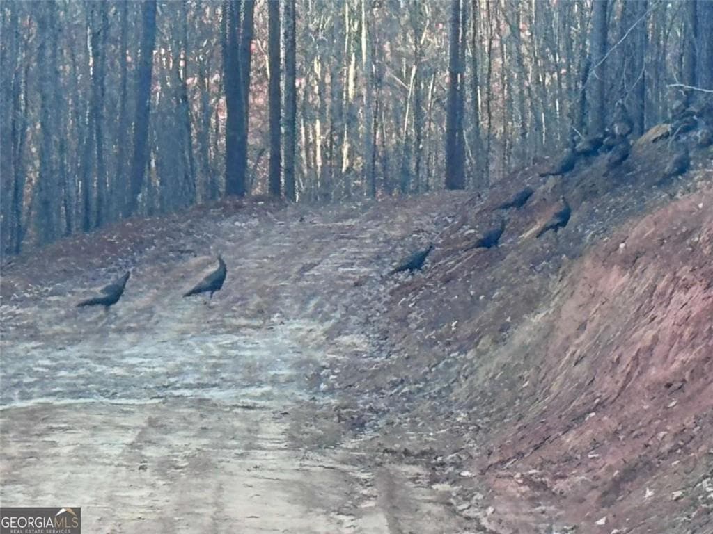 unimproved land for sale at #17 Lone Bear Path, Dallas, GA 30132 — photo 9