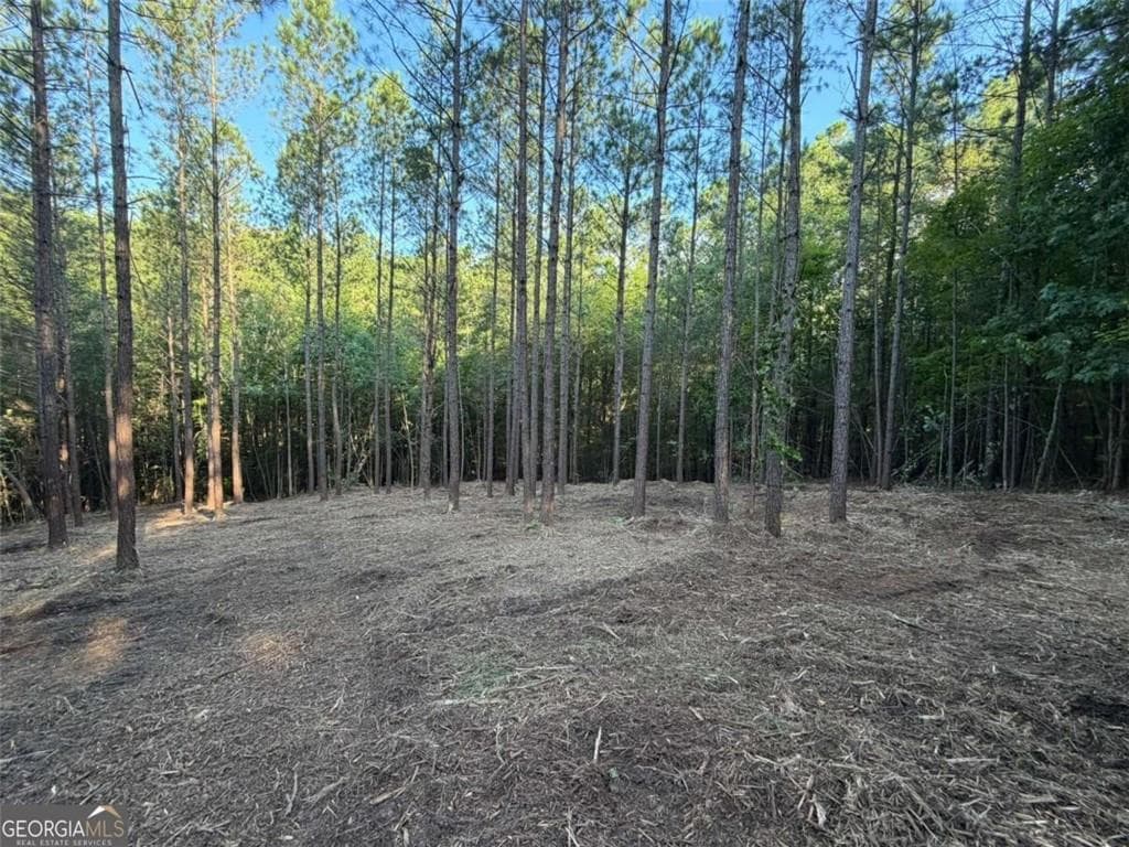 unimproved land for sale at #17 Lone Bear Path, Dallas, GA 30132 — photo 10