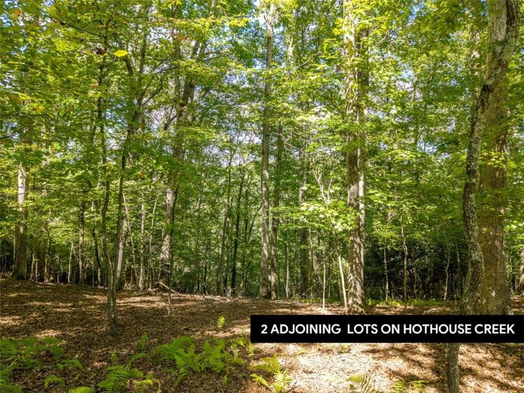 single family residence for sale at LT 27/ Donna Lee Lane, Mineral Bluff, GA 30559
