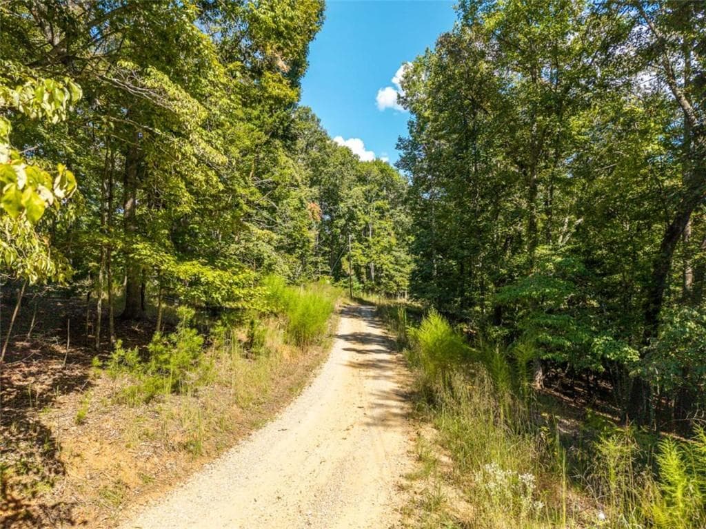 single family residence for sale at LT 27/ Donna Lee Lane, Mineral Bluff, GA 30559 — photo 3