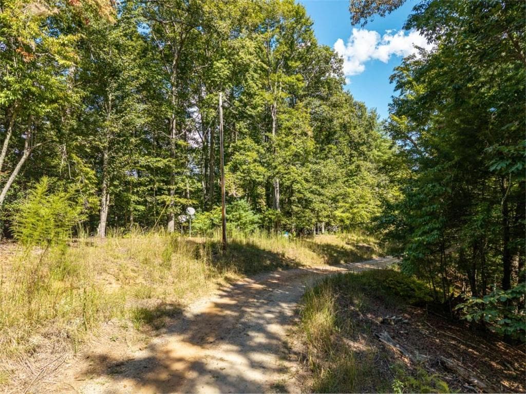 single family residence for sale at LT 27/ Donna Lee Lane, Mineral Bluff, GA 30559 — photo 4