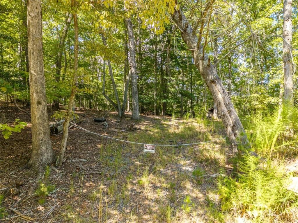 single family residence for sale at LT 27/ Donna Lee Lane, Mineral Bluff, GA 30559 — photo 5