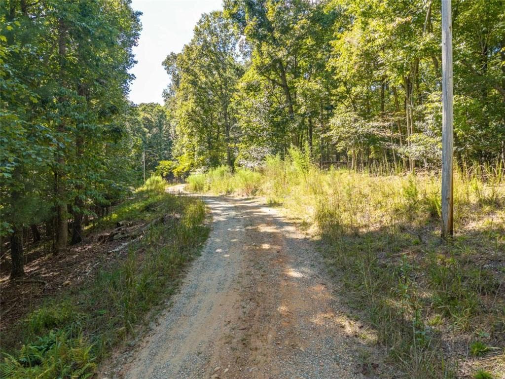 single family residence for sale at LT 27/ Donna Lee Lane, Mineral Bluff, GA 30559 — photo 6