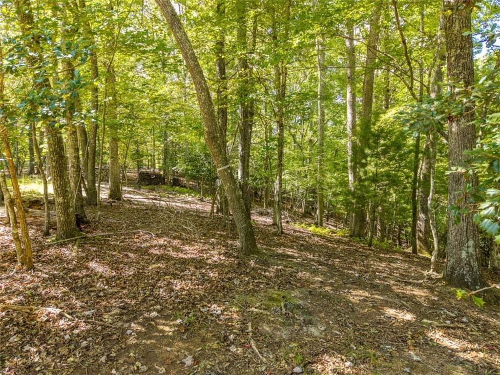 single family residence for sale at LT 27/ Donna Lee Lane, Mineral Bluff, GA 30559 — photo 8