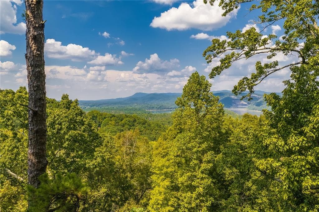 unimproved land for sale at 104 Hopewell Drive, Ranger, GA 30734 — photo 1 of 14
