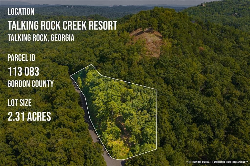 unimproved land for sale at 104 Hopewell Drive, Ranger, GA 30734 — photo 2