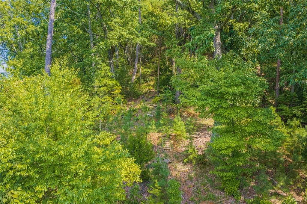unimproved land for sale at 104 Hopewell Drive, Ranger, GA 30734 — photo 3
