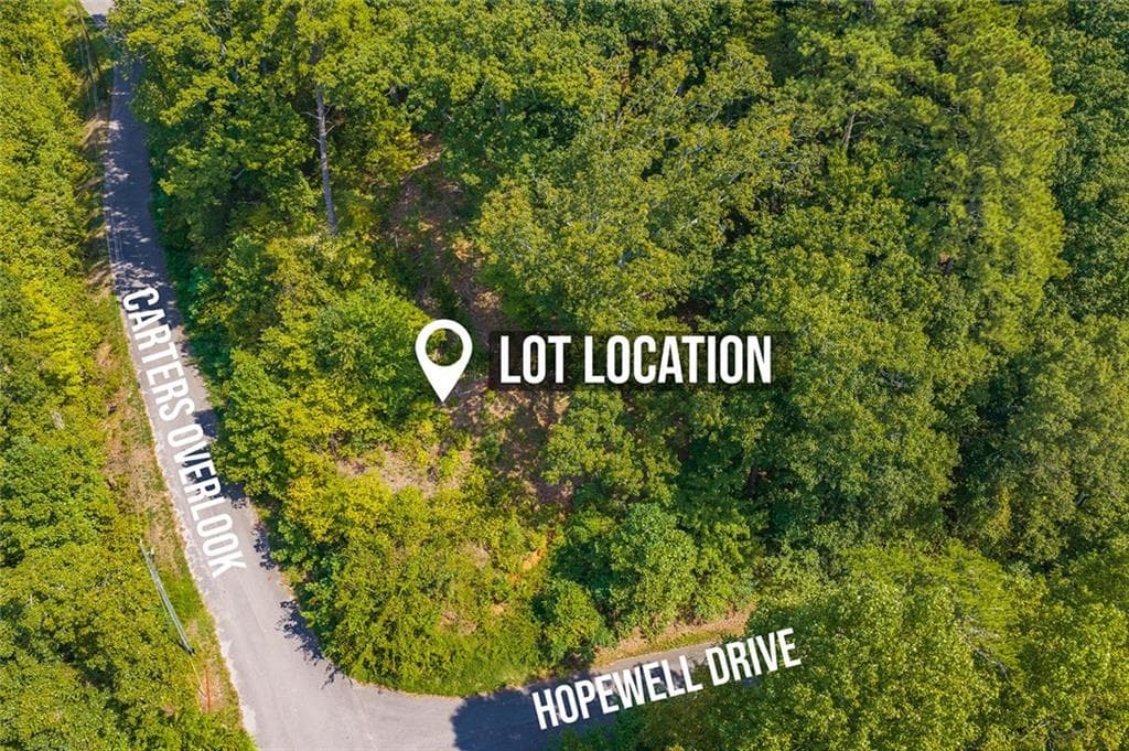 unimproved land for sale at 104 Hopewell Drive, Ranger, GA 30734 — photo 4