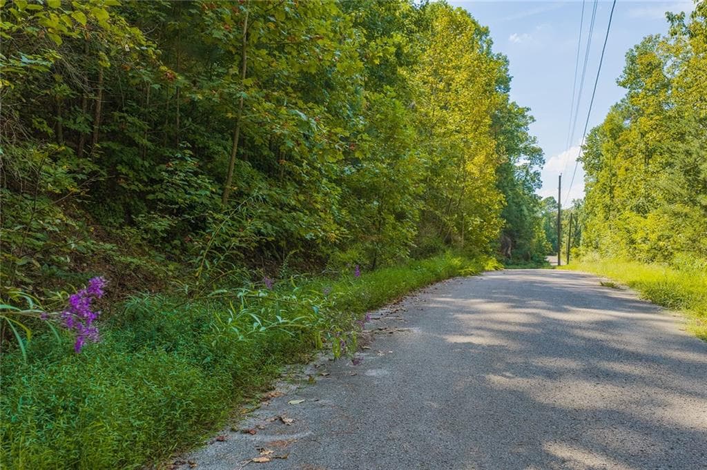 unimproved land for sale at 104 Hopewell Drive, Ranger, GA 30734 — photo 5