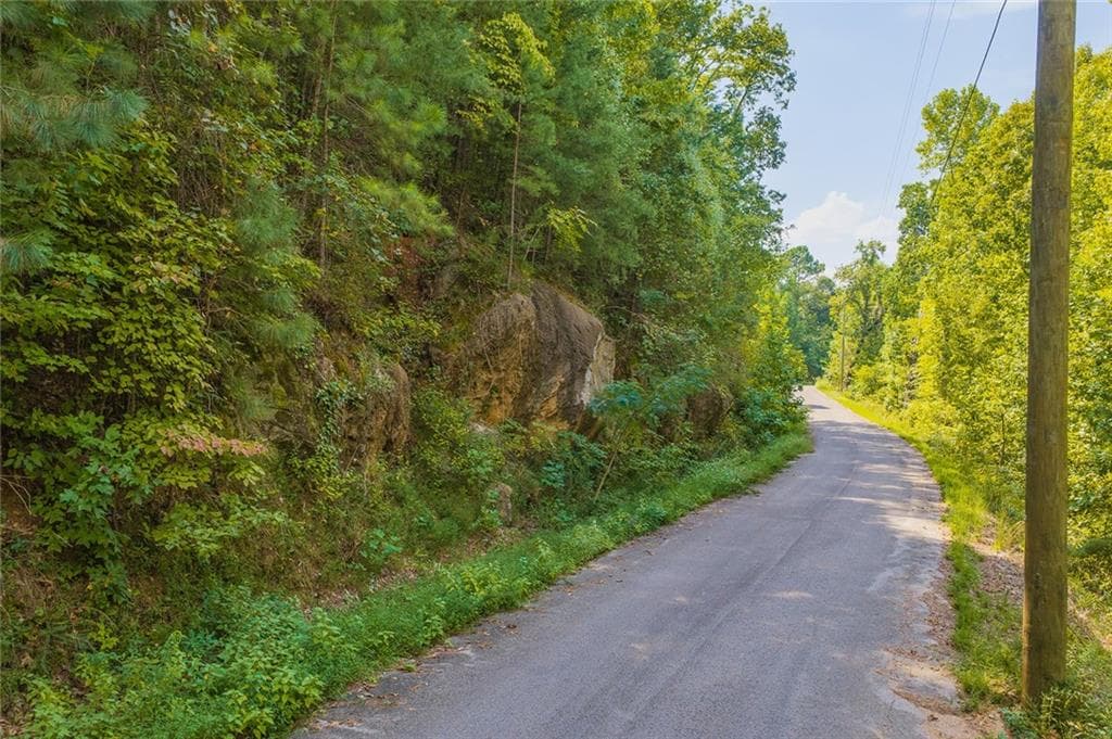 unimproved land for sale at 104 Hopewell Drive, Ranger, GA 30734 — photo 7