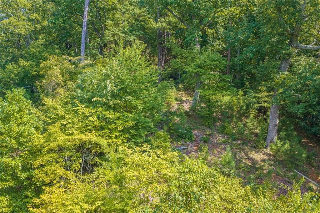 unimproved land for sale at 104 Hopewell Drive, Ranger, GA 30734 — photo 9