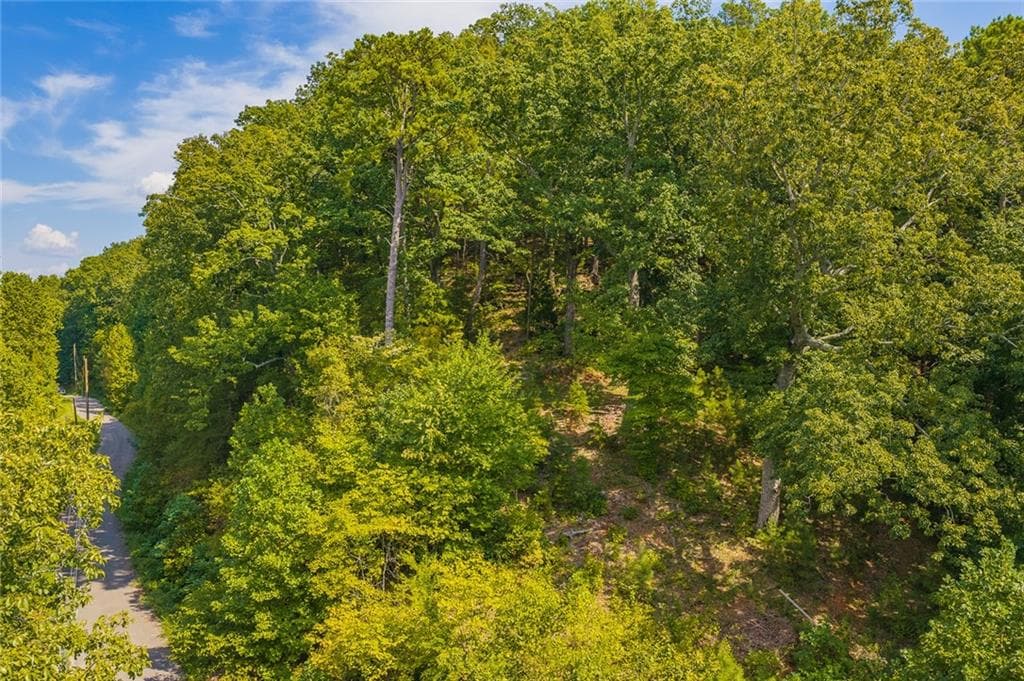unimproved land for sale at 104 Hopewell Drive, Ranger, GA 30734 — photo 10