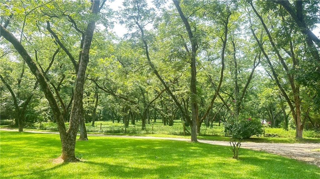 4 bedroom, 3 bathroom, 3,366 sq ft single family residence for sale at 169 Silver Dollar Road, Barnesville, GA 30204 — photo 2
