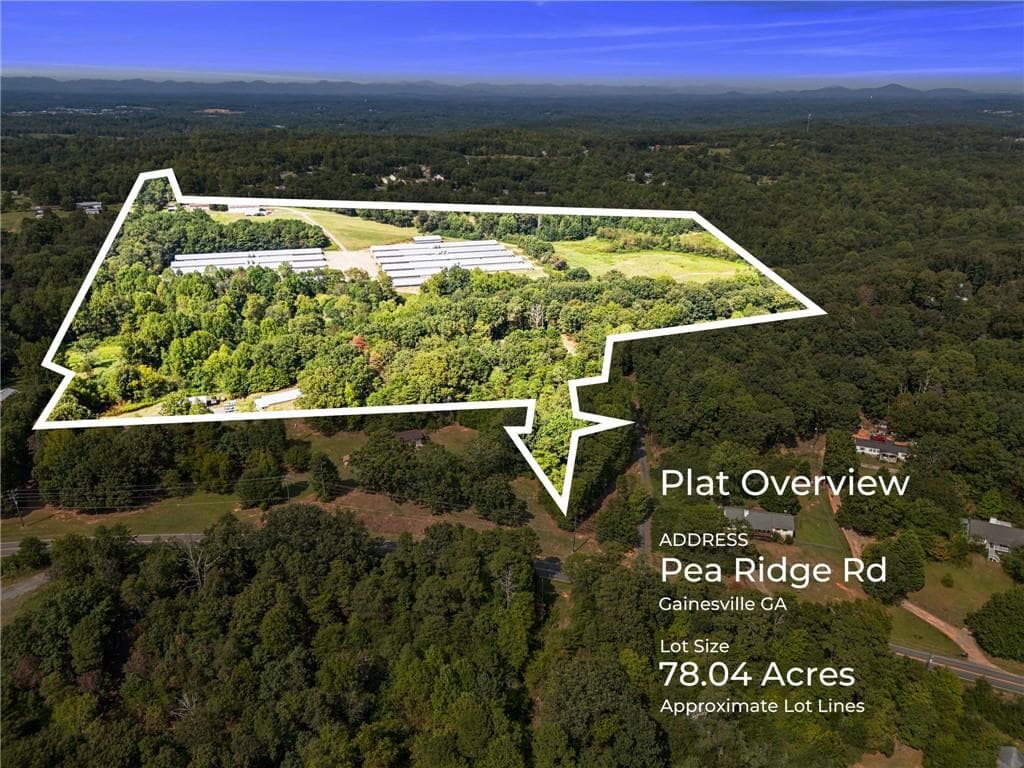 other for sale at 6770 Pea Ridge Road, Gainesville, GA 30506