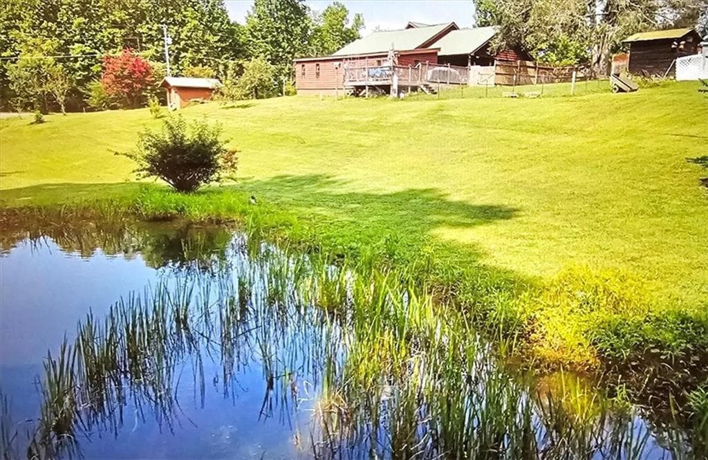 5 bedroom, 2 bathroom, 2,300 sq ft single family residence for sale at 4253 Swallows Creek Road, Hiawassee, GA 30546 — photo 3