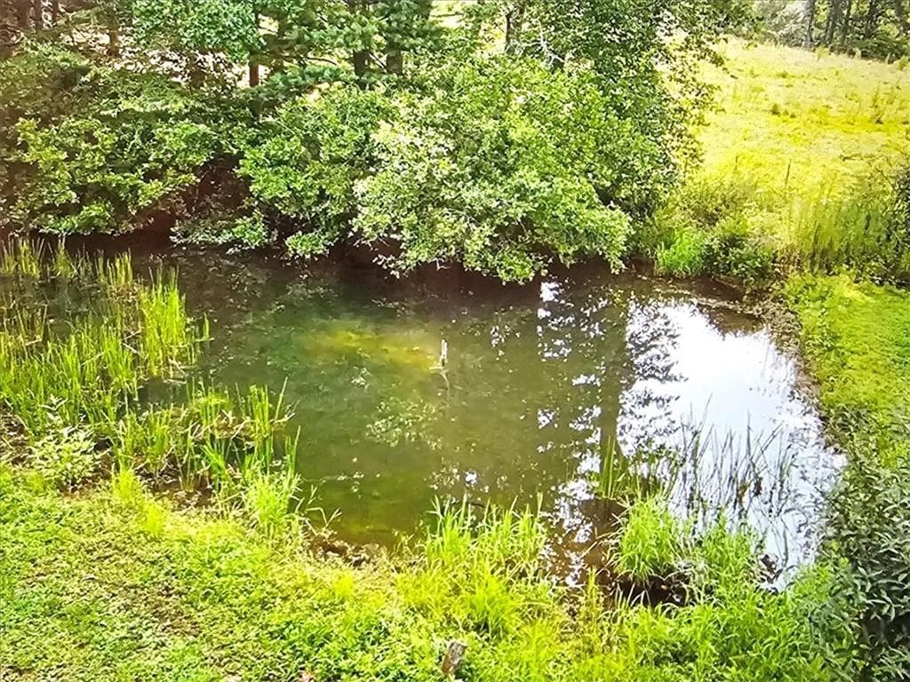 5 bedroom, 2 bathroom, 2,300 sq ft single family residence for sale at 4253 Swallows Creek Road, Hiawassee, GA 30546 — photo 4