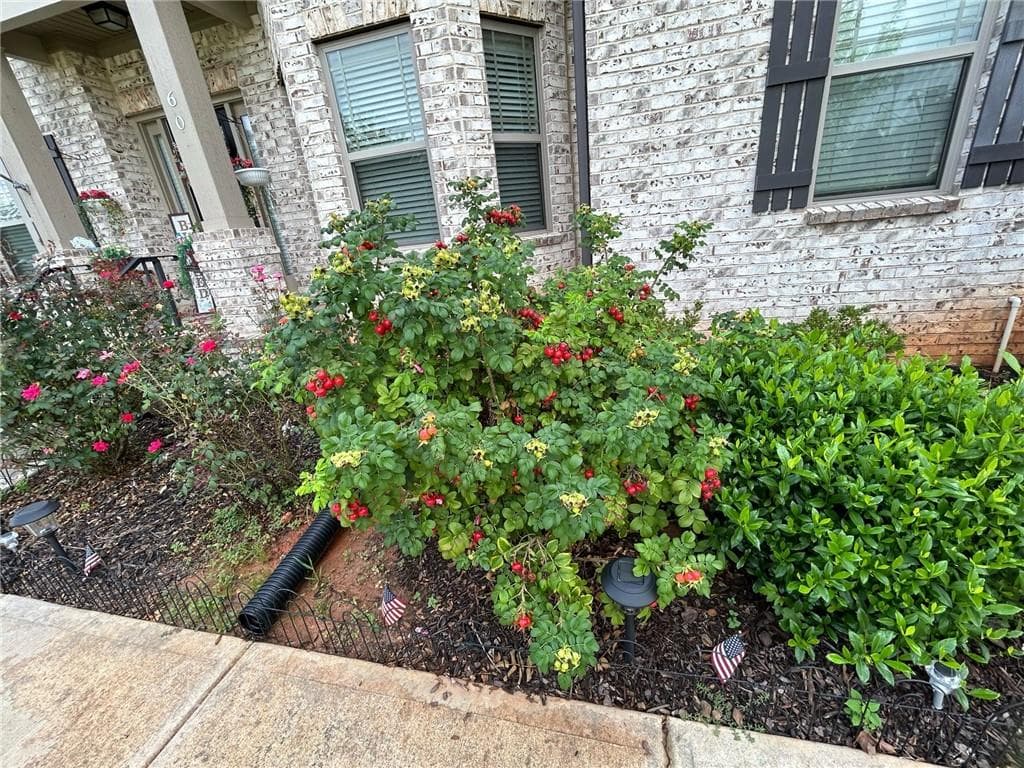 5 bedroom, 4 bathroom, 4,032 sq ft single family residence for sale at 60 Charleston Drive, Senoia, GA 30276 — photo 5