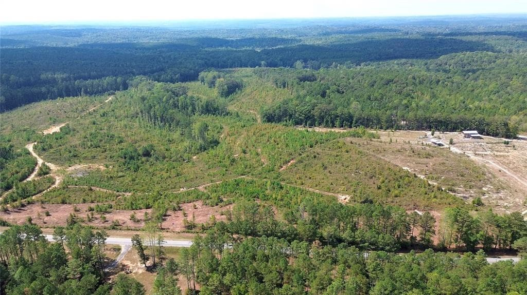 unimproved land for sale at 0 Victory Road, Franklin, GA 30217 — photo 2
