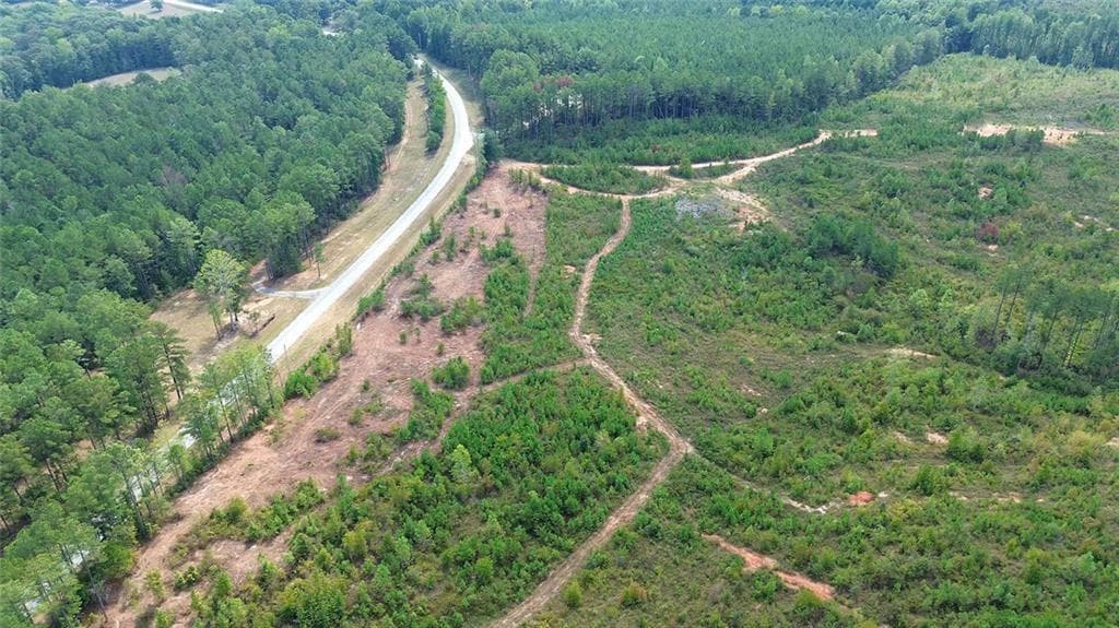 unimproved land for sale at 0 Victory Road, Franklin, GA 30217 — photo 4