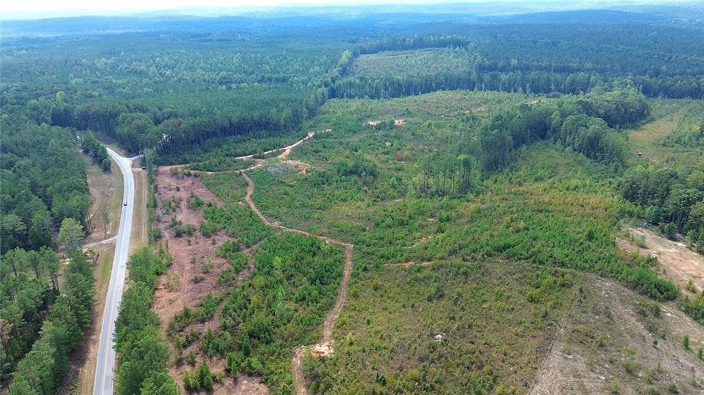 unimproved land for sale at 0 Victory Road, Franklin, GA 30217 — photo 5