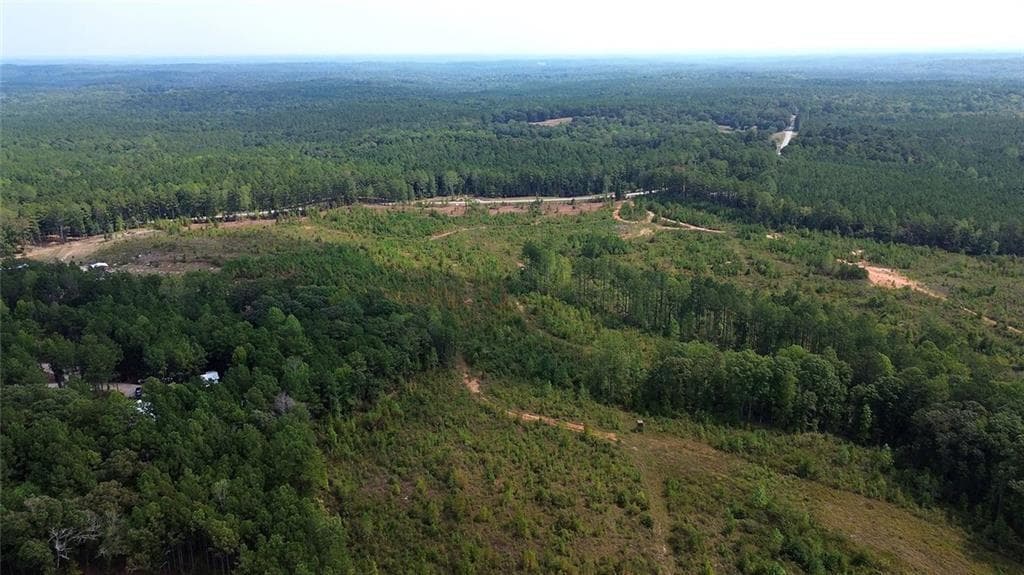 unimproved land for sale at 0 Victory Road, Franklin, GA 30217 — photo 7