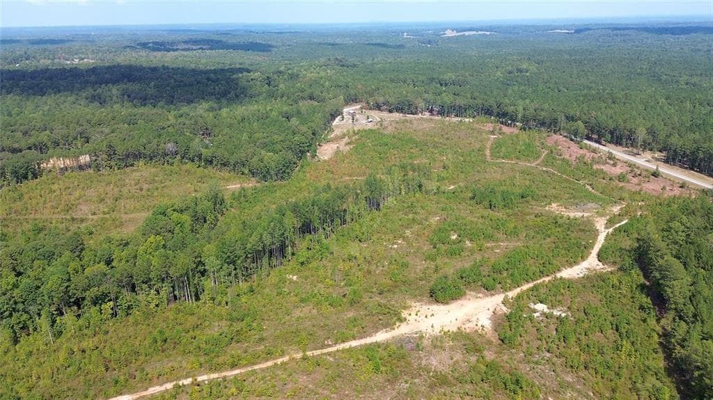 unimproved land for sale at 0 Victory Road, Franklin, GA 30217 — photo 8
