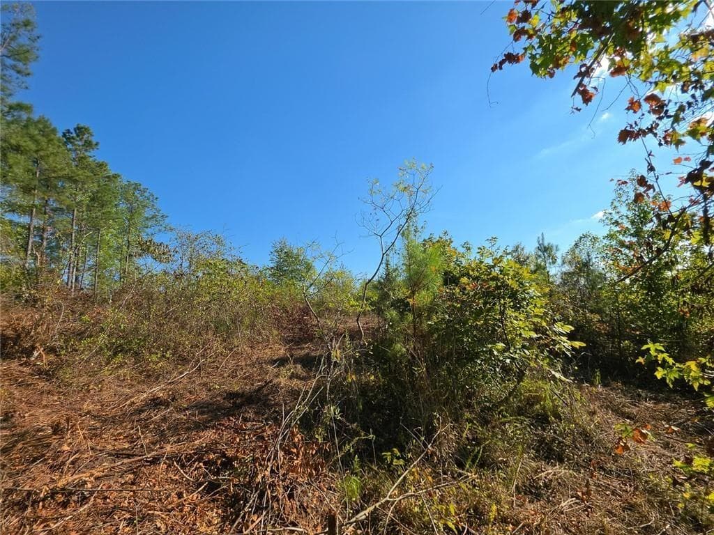 unimproved land for sale at 0 Victory Road, Franklin, GA 30217 — photo 10