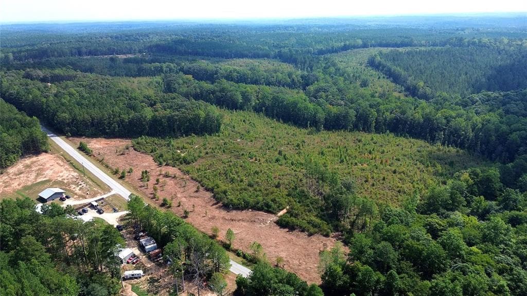unimproved land for sale at 0 Butler Road, Franklin, GA 30217 — photo 2